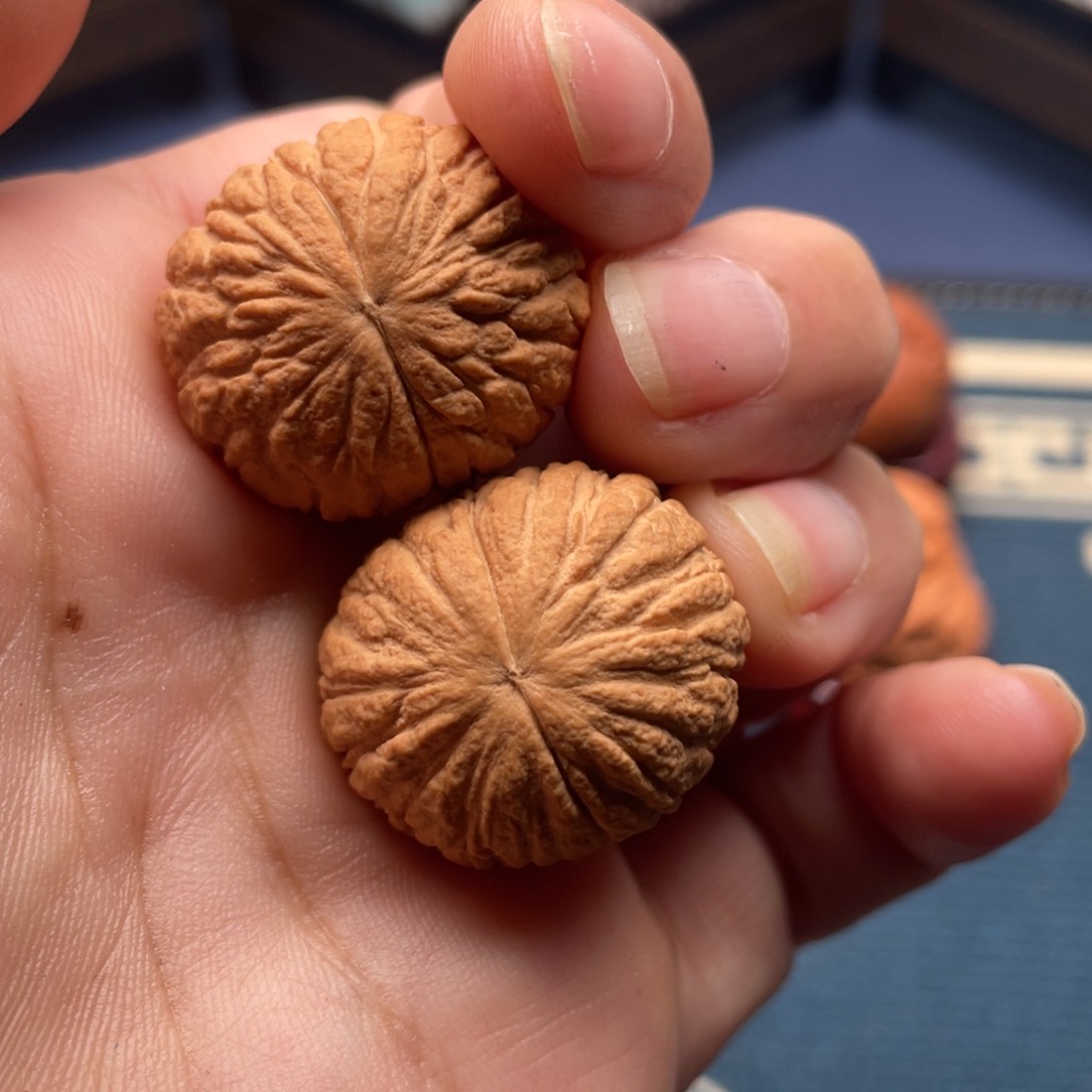 把件文玩核桃三***七猴头