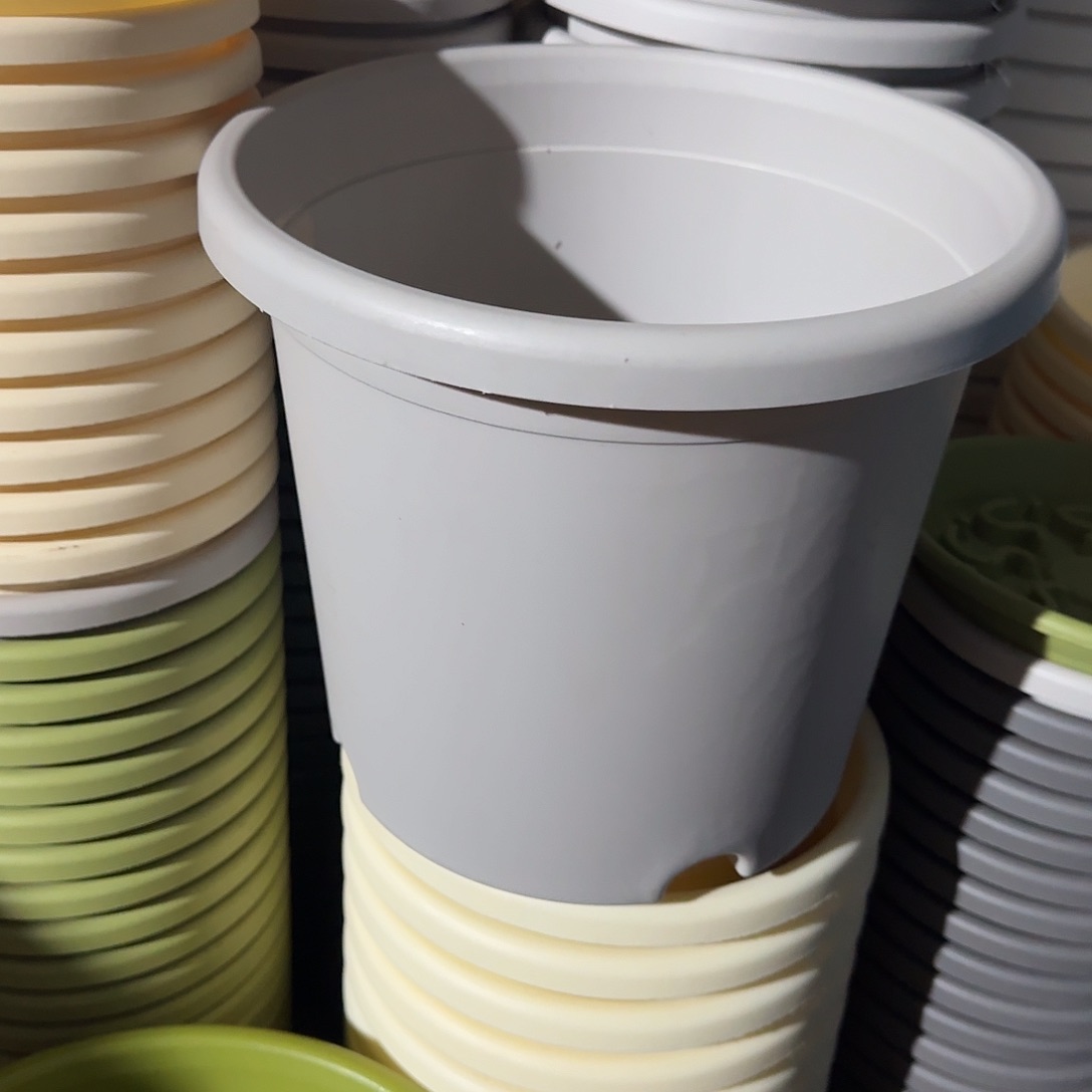 树脂四季4号无托8个灰白微瑕