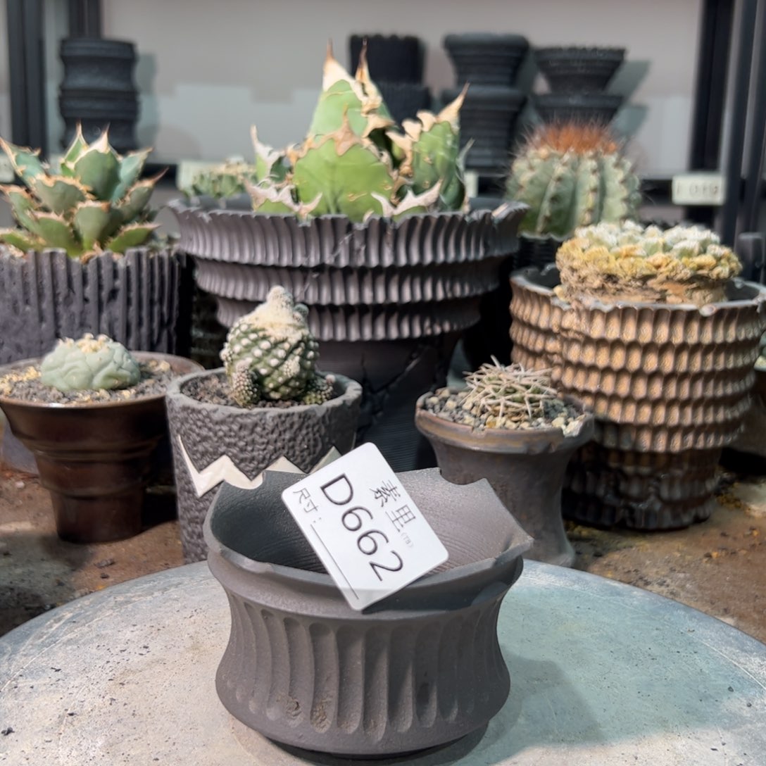 景德镇手工素里内面9.5搞6瑕疵