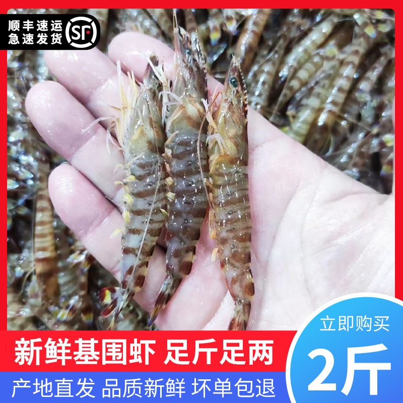 基围虾3斤装海鲜水产新鲜速冻烟台发海虾非竹节虾斑节虾