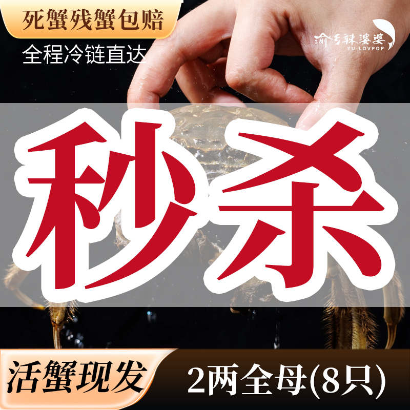 【活蟹】河蟹全母1.8两-2两8只【福利一】