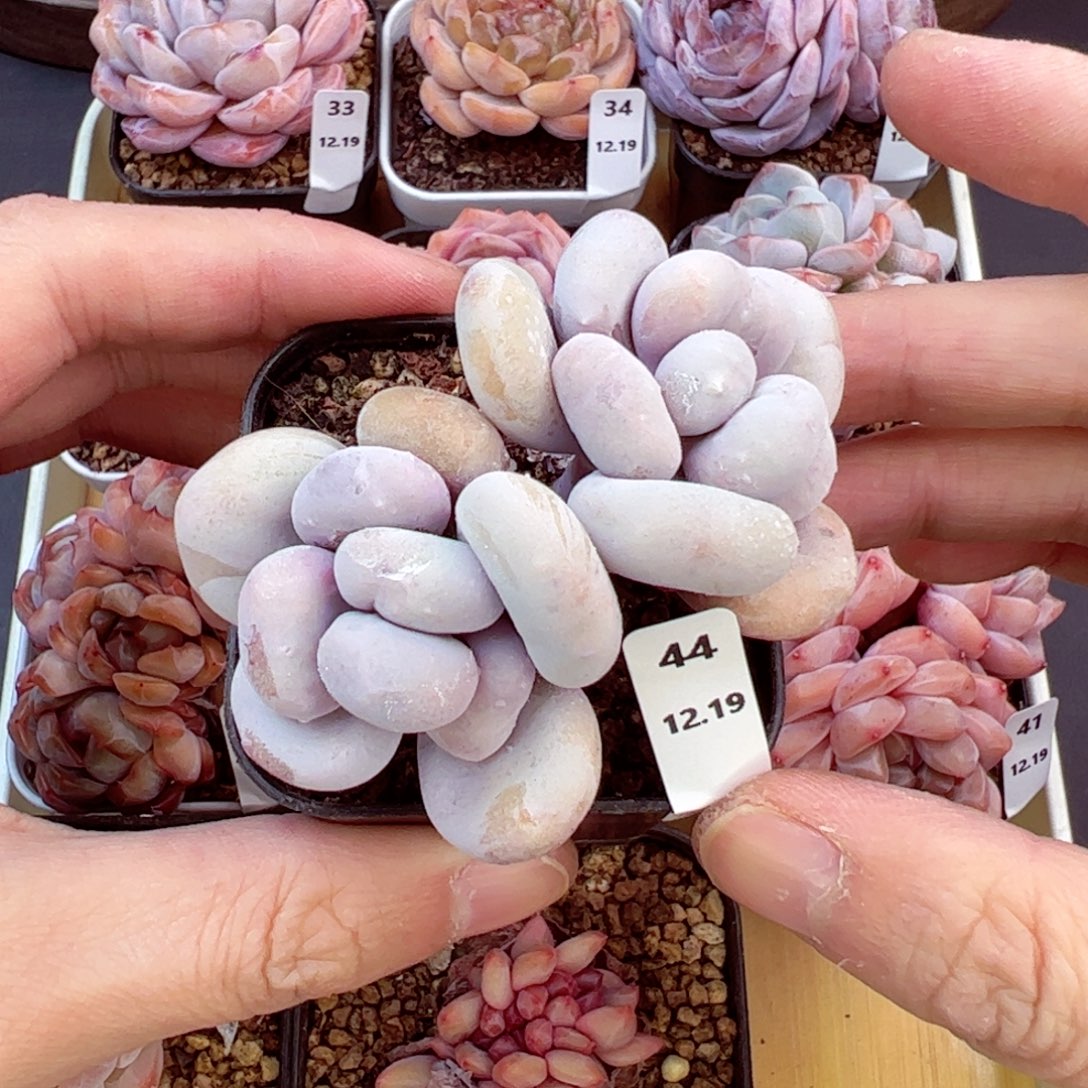 好好看44、哈哈哈哈