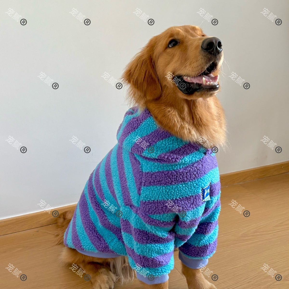 中大型犬狗狗衣服拉布拉多金毛萨摩耶羊羔毛保暖加绒加厚宠物服装