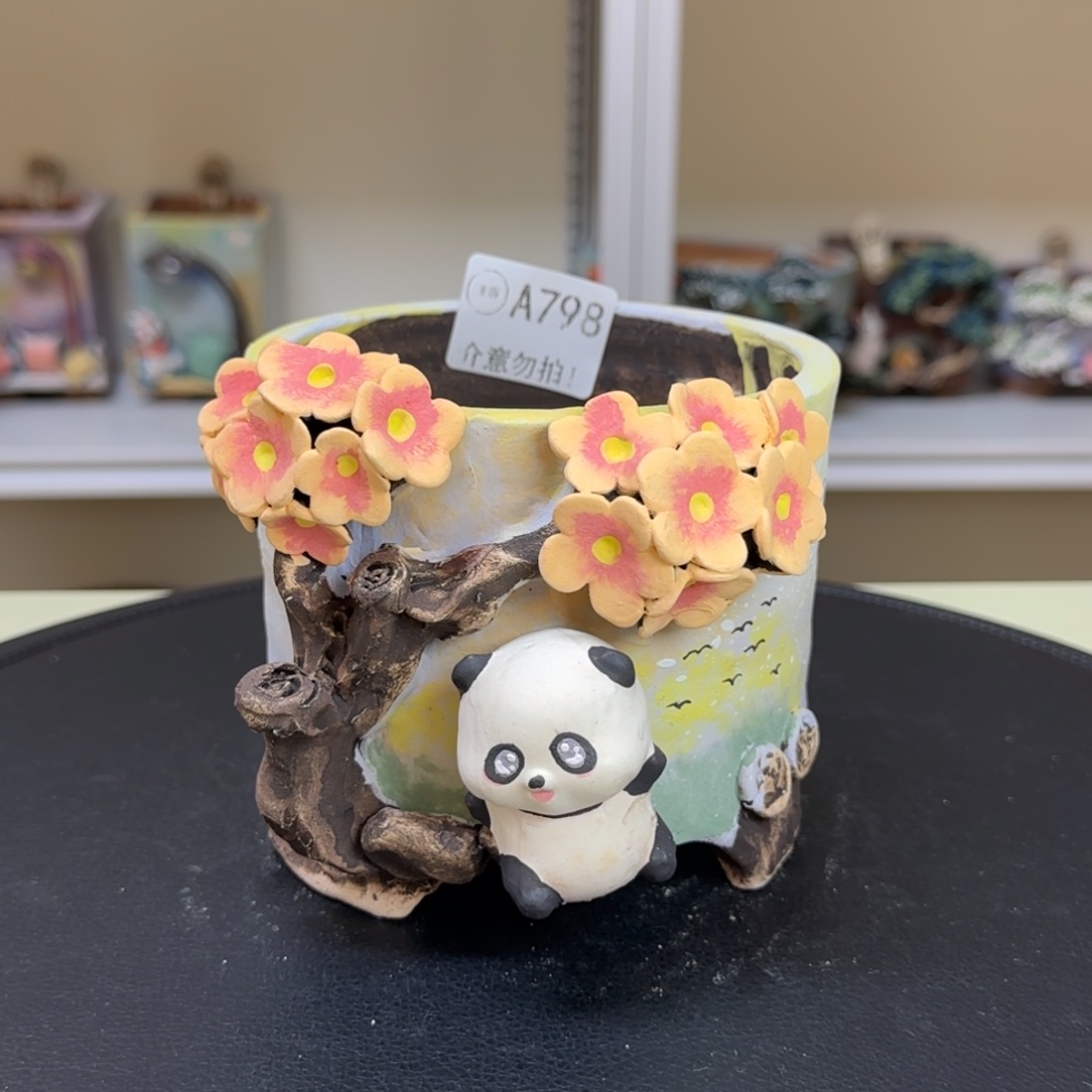 A798 【闪购】多肉花盆