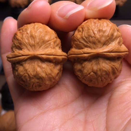 文玩核桃把件金龟子元宝19