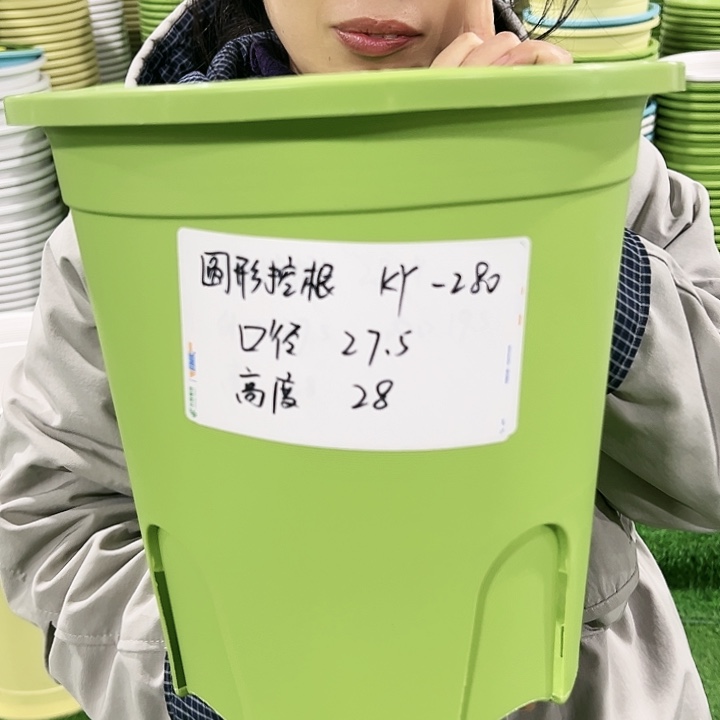 正品圆控口27高28果绿色无托5只