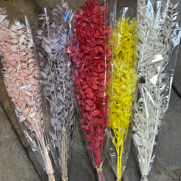 永生花富贵叶diy花店插花软装花材批发