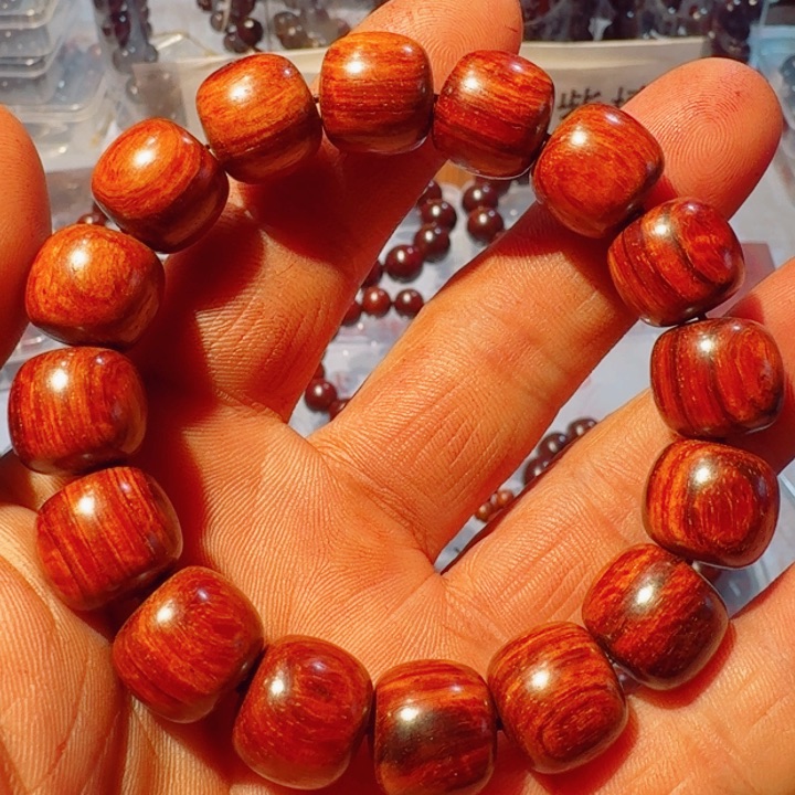 檀香紫檀（小叶紫檀）13x14x16棵