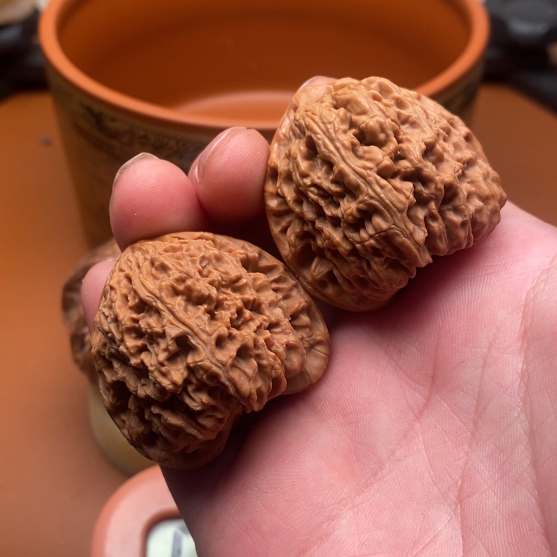 油***通福利福利福利福利