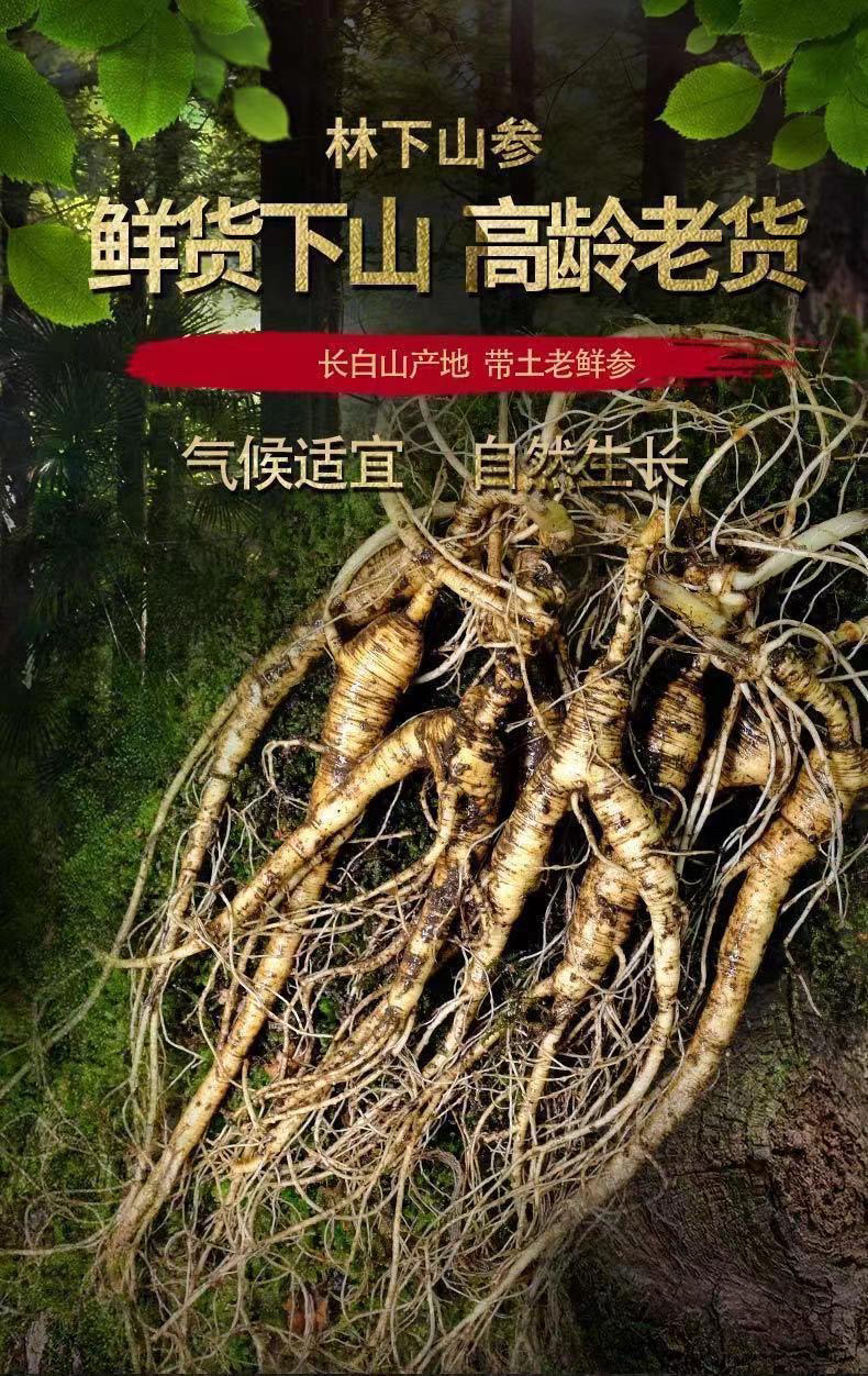 长白山林下山参改价链接直播间截图为准