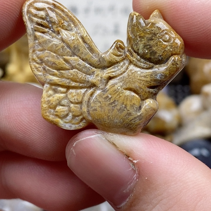 颈饰未镶嵌硅化珊瑚（珊瑚玉）有瑕