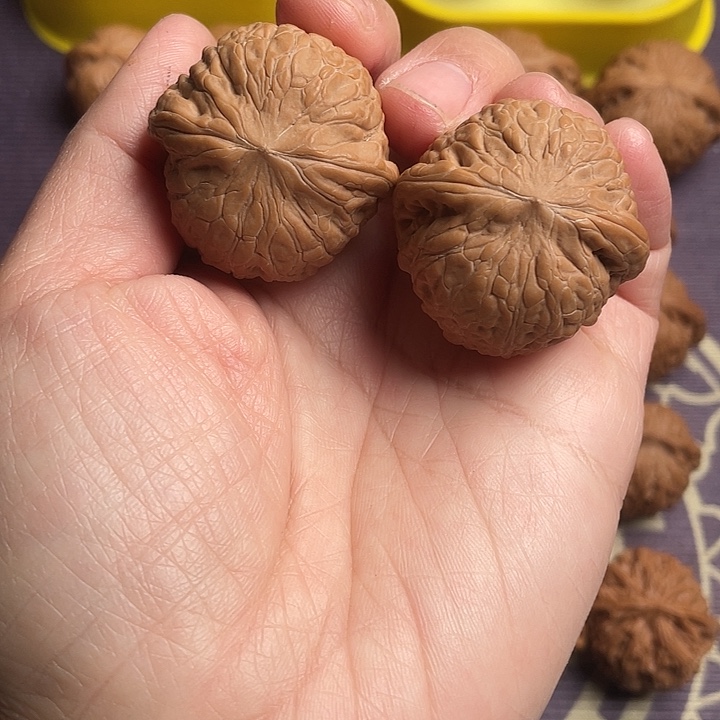 核桃文玩核桃铁锤妹妹全品白茬