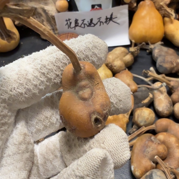 难***言66666676777778888888