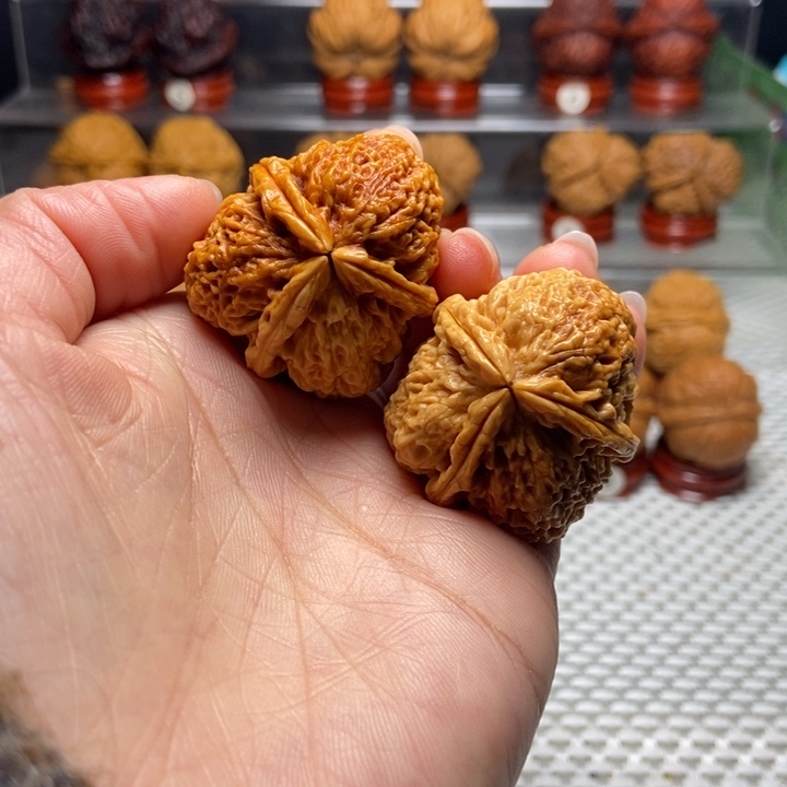 把件文玩核桃5七彩梅花奔