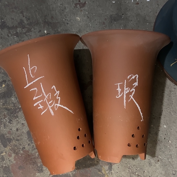 周深周深周深周深周深周深 