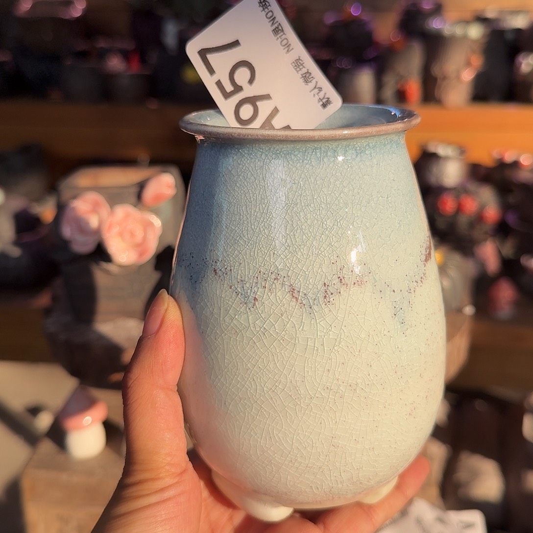 f***g重庆小燕子欢迎大家957