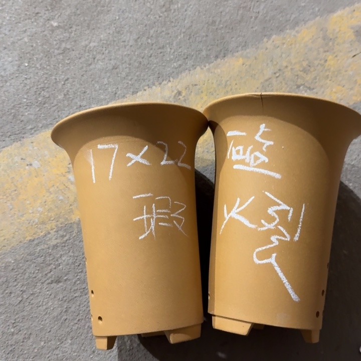 高度22口径17俩只微瑕