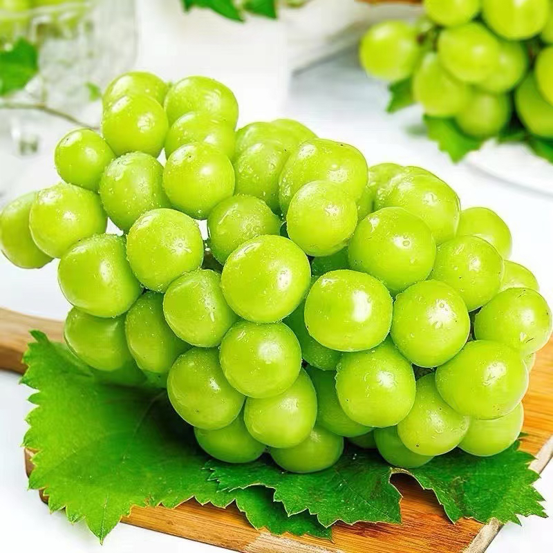 【京东顺丰次日达】晴王葡萄香甜脆爽多汁饱满新鲜采摘 1盒1斤起 辽宁发货葡萄同城送云南省