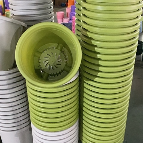 树脂微瑕果绿色7号无托6个