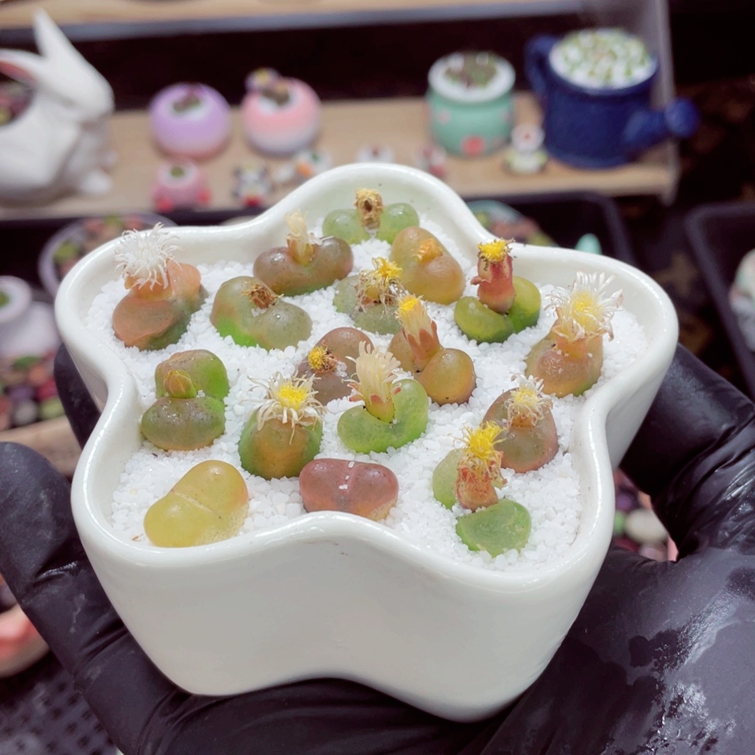 夜间零下地区拍保温箱w3624