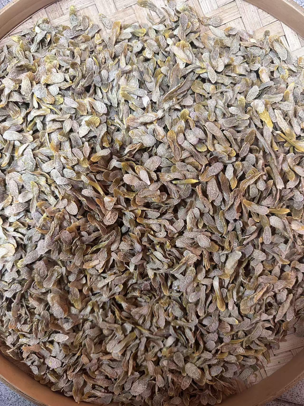 邱正新农人-紫金石斛