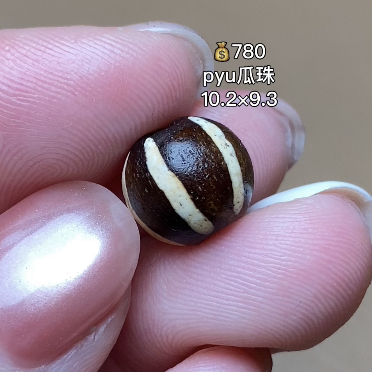 pyu瓜珠 千年古珠 有细节视频找客服