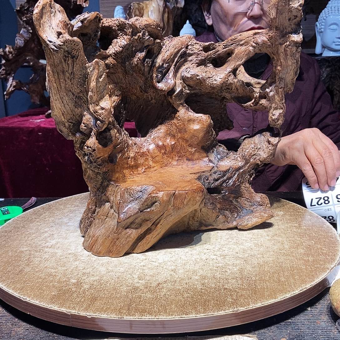 净***824。株木随行根艺