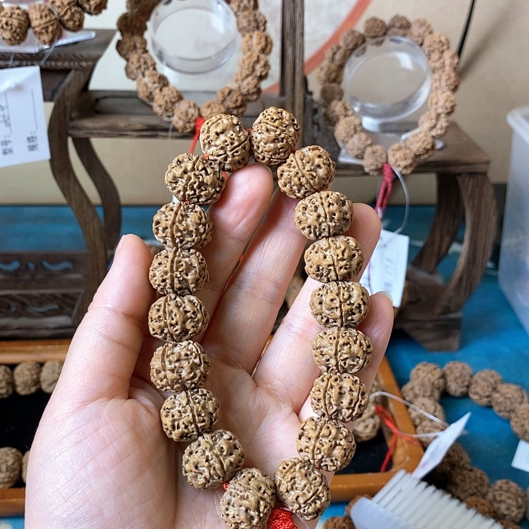 金刚菩提吊坠17姜黄皮超级矮桩 18籽超头