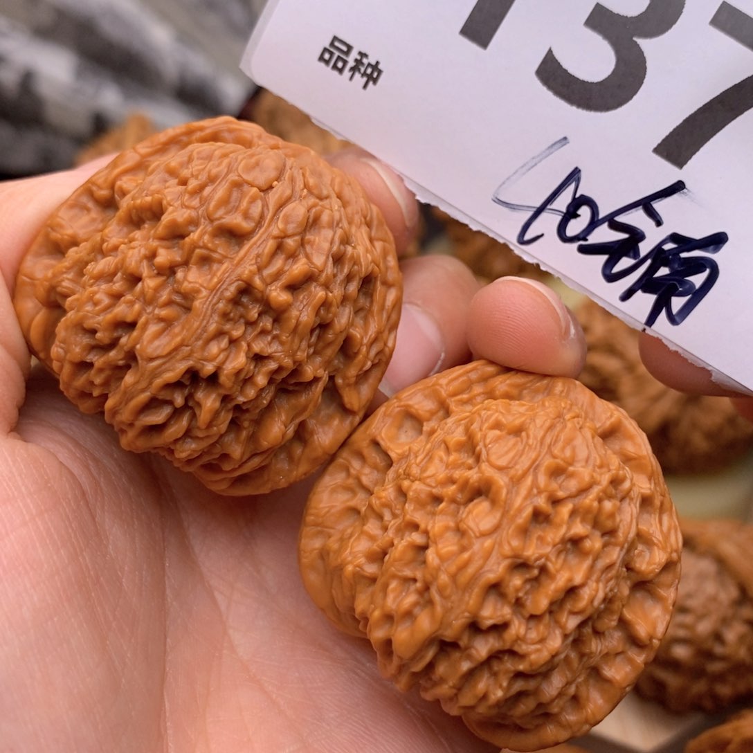 文玩核桃把件137号40全南