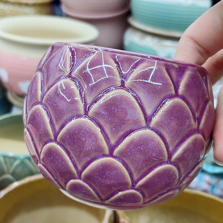 多肉绿植陶瓷花盆9.9包邮，有孔