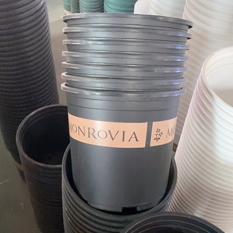 树脂瑕疵2加仑10个无托黑色