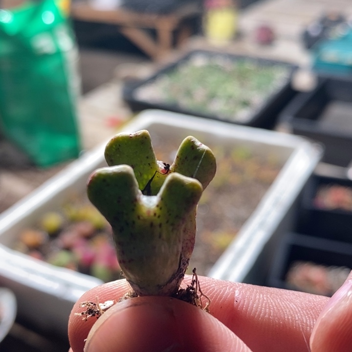 22264一个一个一个