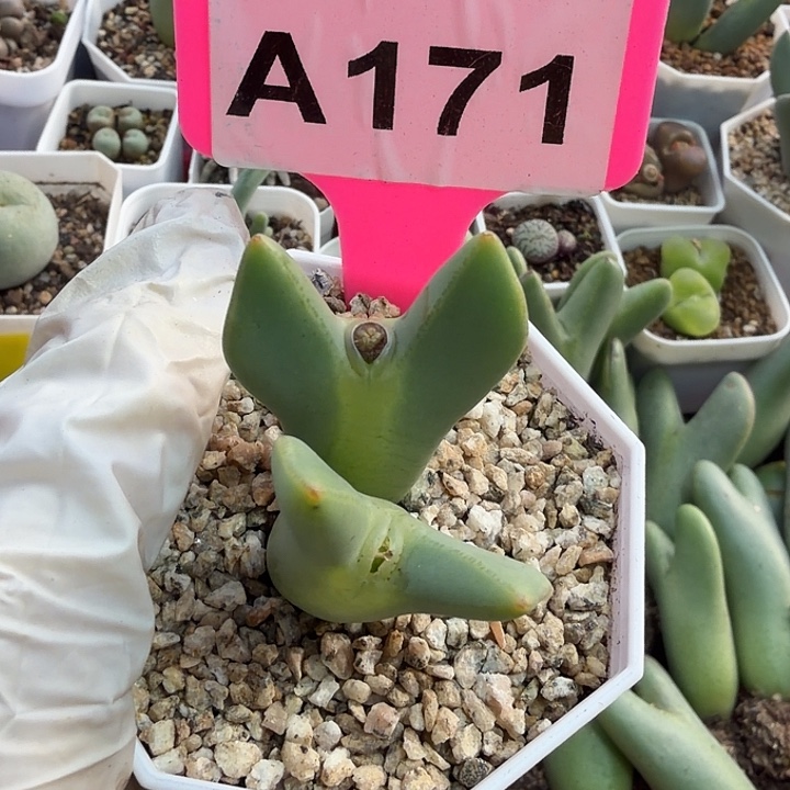 M***M172mmmmmmmkjjjjjjjjjj