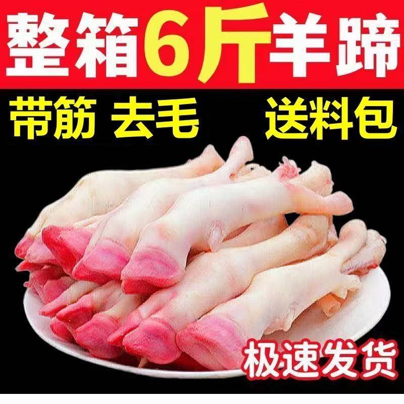 现杀羊蹄优质白蹄山羊蹄绵羊蹄花羊蹄带筋散养羊肉羊脚去毛羊包邮
