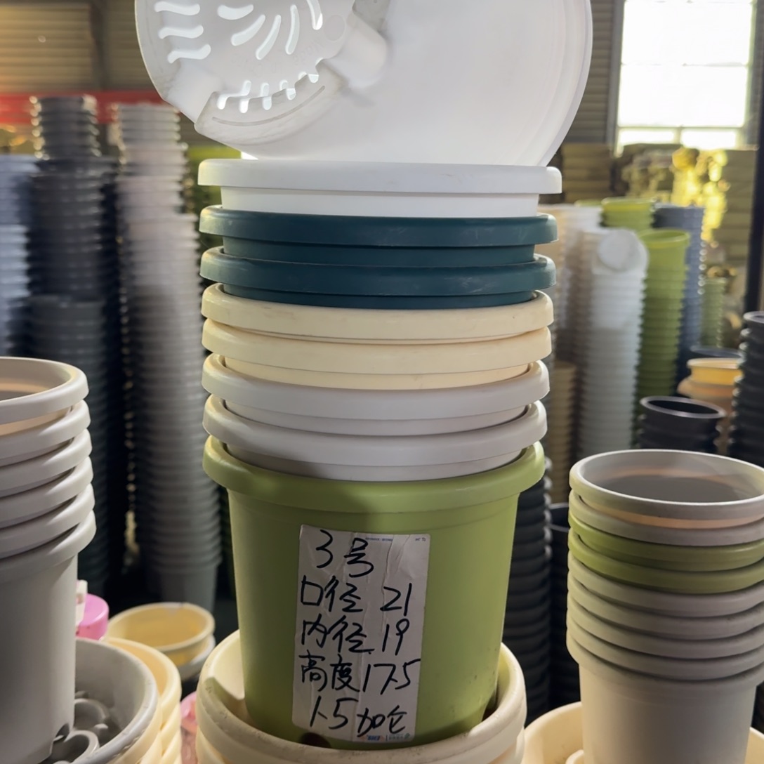 四季3#口径21无拖果绿10个