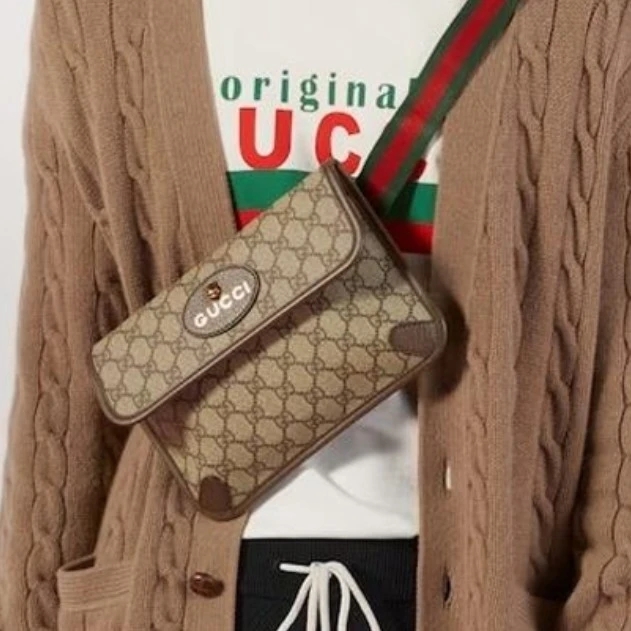 95新 GUCCI/古驰 老花虎头胸包腰包16591803