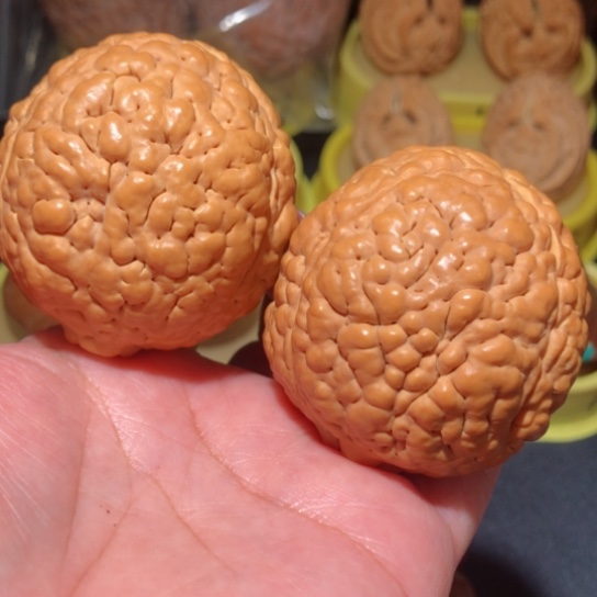 文玩核桃把件脑纹金刚菩提