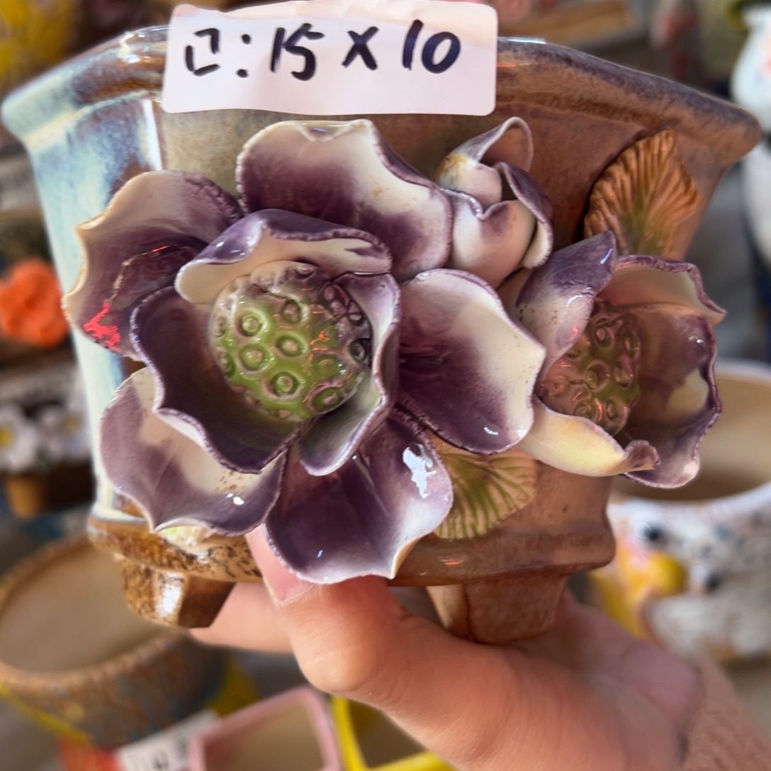 花盆满20米发货爱退款拉黑