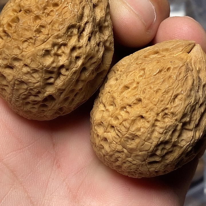 把件文玩核桃云南铁核桃12