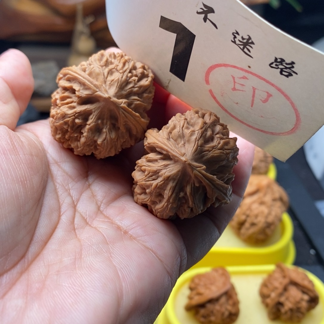 文玩核桃把件35野生无名
