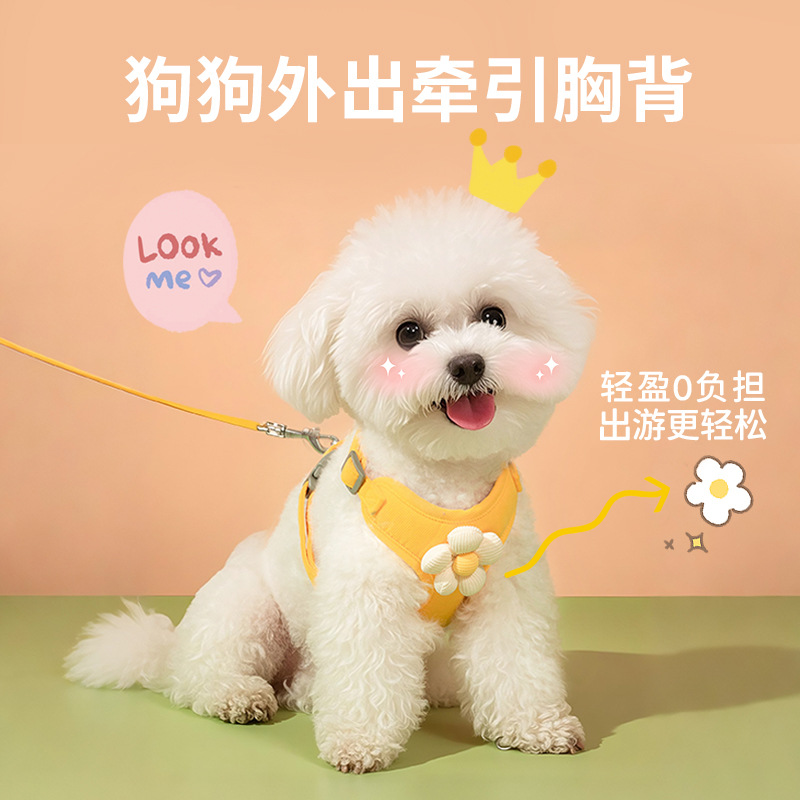 宠物外出小雏菊绣花牵引绳花边背心狗狗猫咪胸背带小型犬胸背