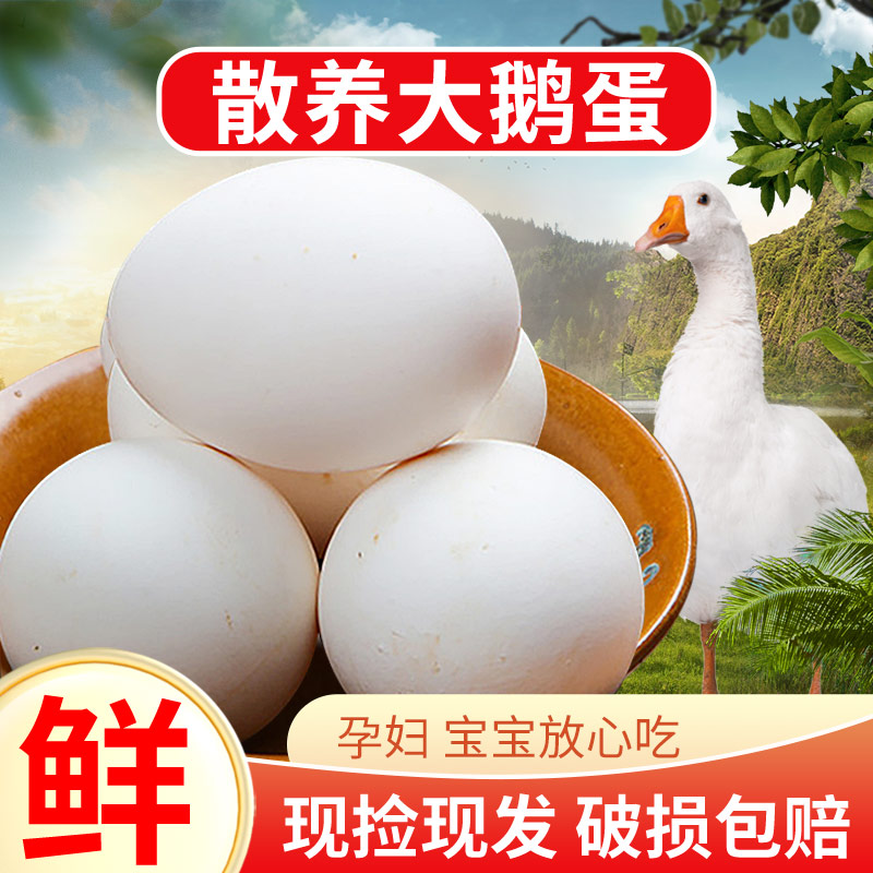 农家散养新鲜鹅蛋大个现捡现发孕妇健康营养食品
