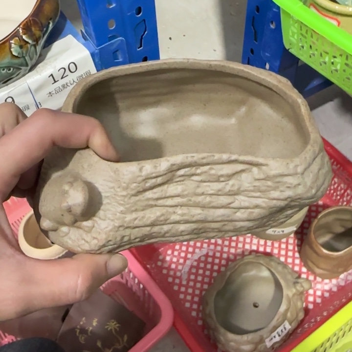 《所有单满15发（花盆）》10×6+5