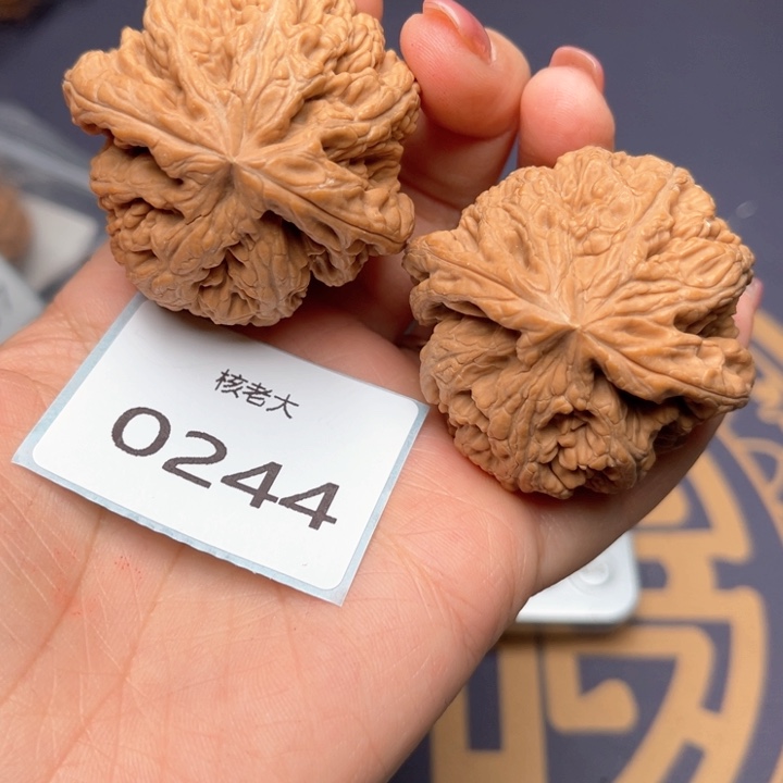 文玩核桃把件46大粗筋 0244