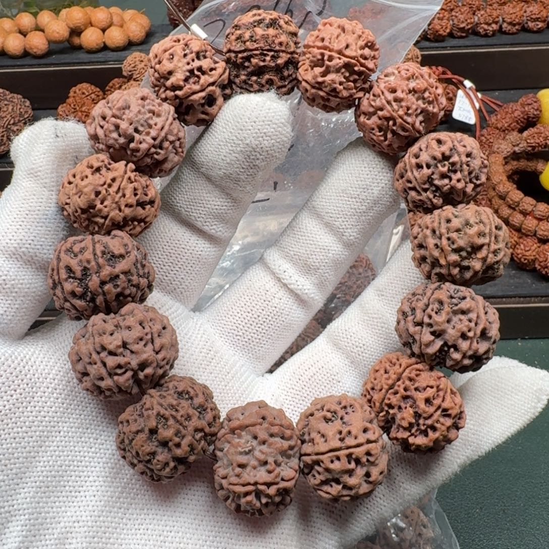 手串金刚菩提22六瓣多宝（不同树不同色）