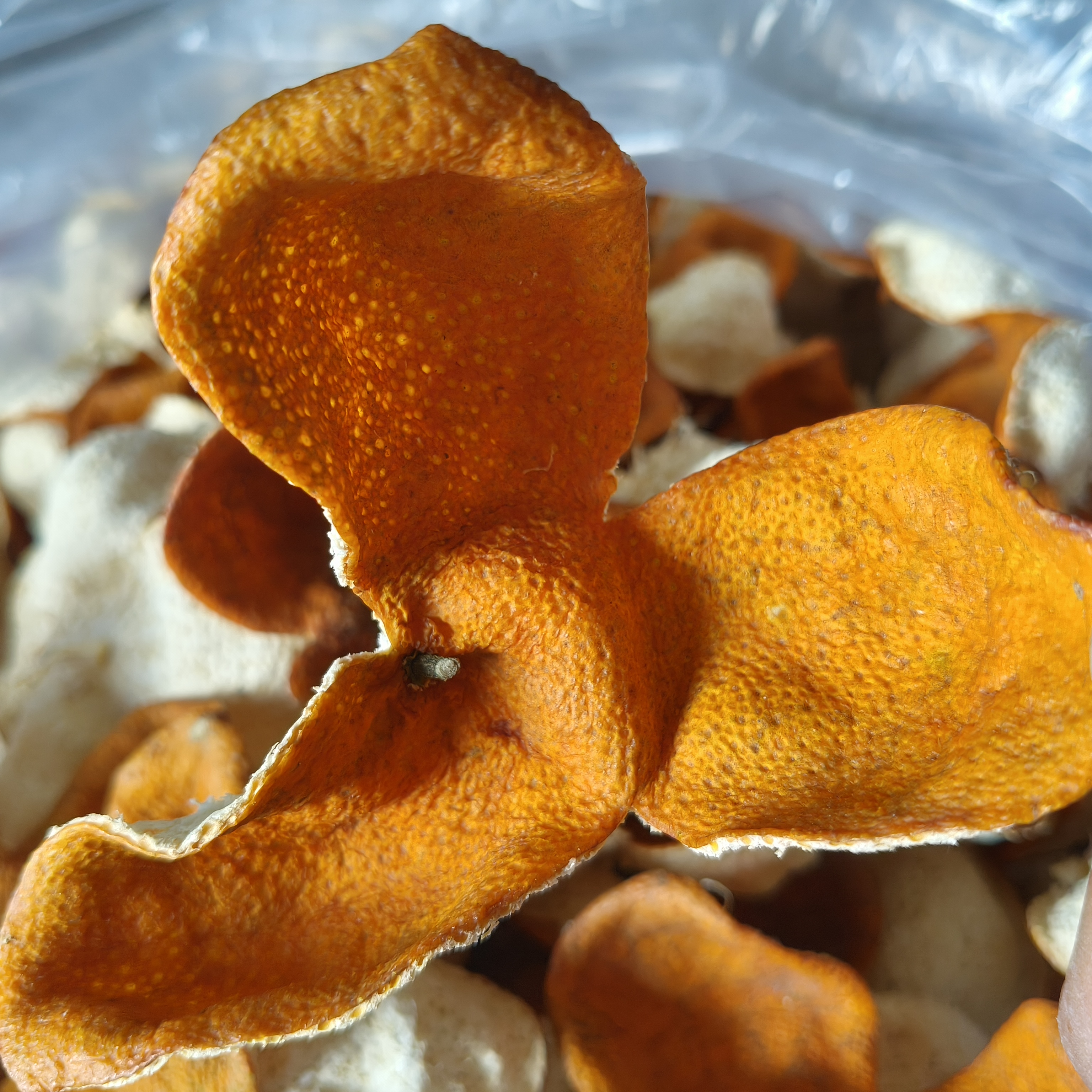 2025年浦北陈皮冬后大红皮茶枝柑皮