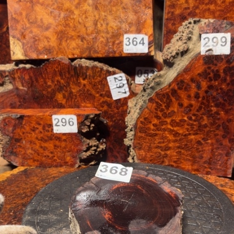 大果紫檀（缅甸花梨）