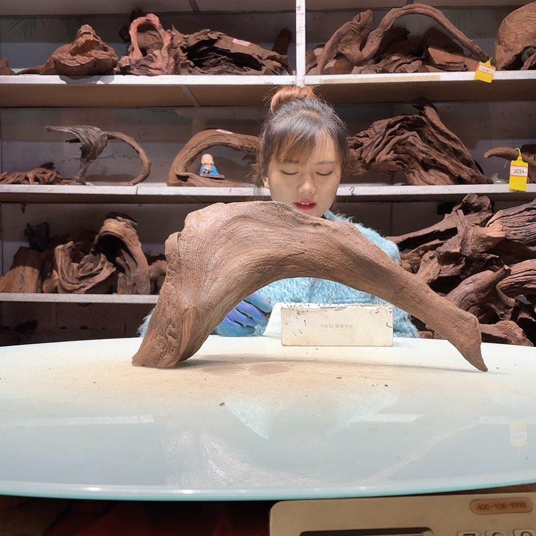 倍褚沉木，不包损必褪色s****t6216