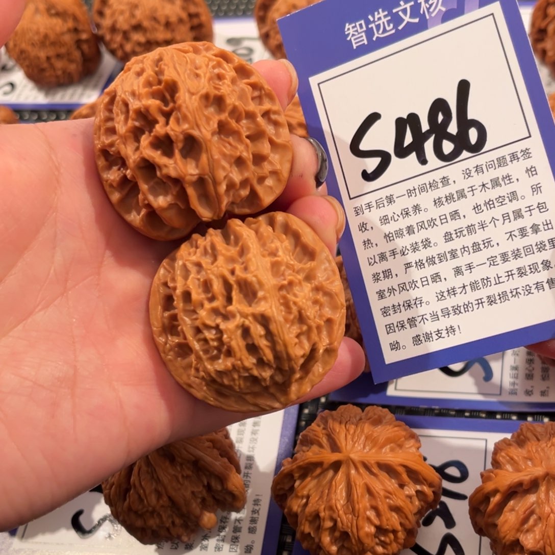 核桃S486号苹果园42尺