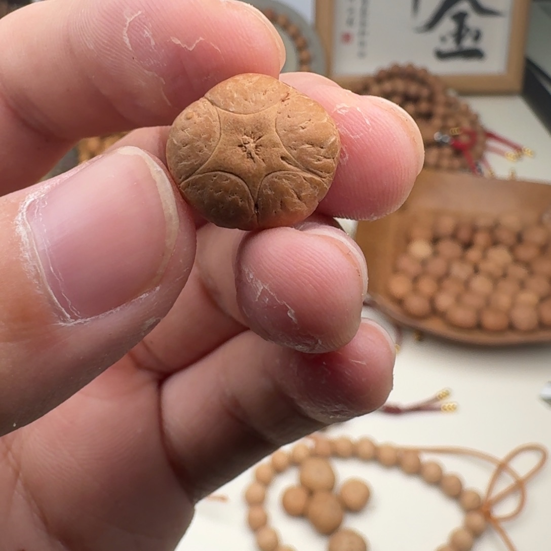 吊坠凤眼菩提五星